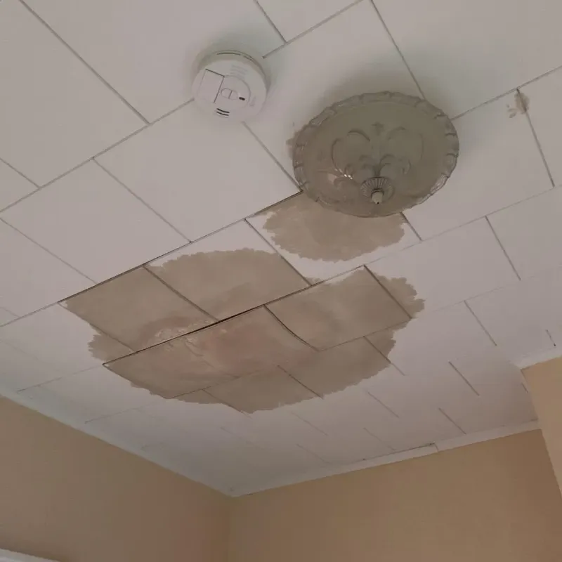 Ceiling Water Damage Repair in Powell, OH