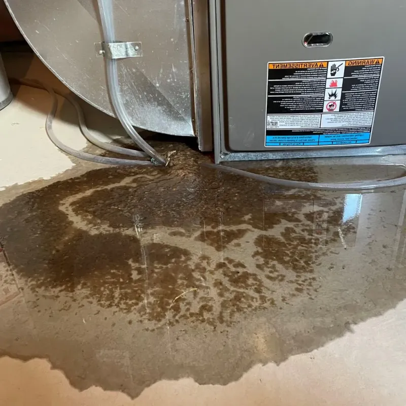 Pipe Burst and Leak Restoration in Powell, OH